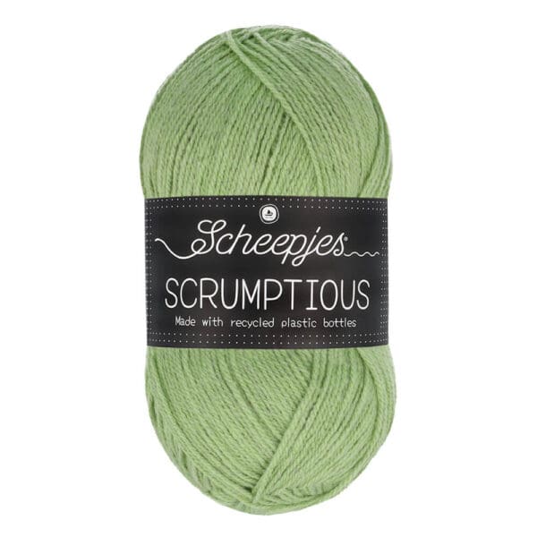 Scheepjes Scrumptious 100g - 318 Pistachio Bundt Cake