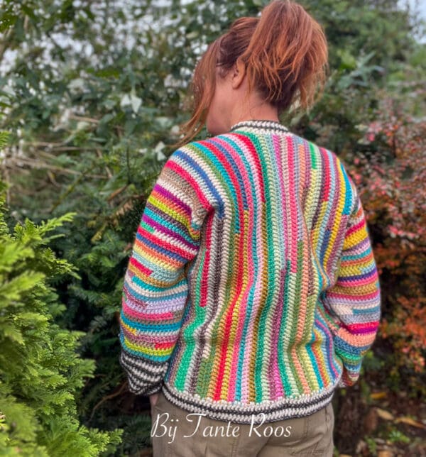 Haakpakket Andes Vest - Afbeelding 4