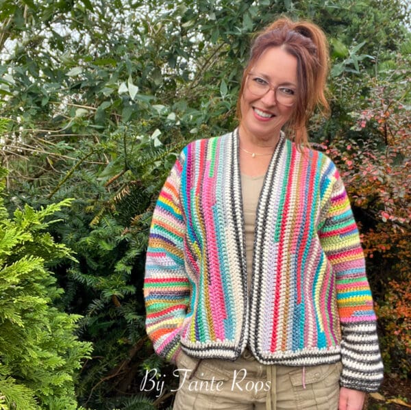Haakpakket Andes Vest - Afbeelding 3
