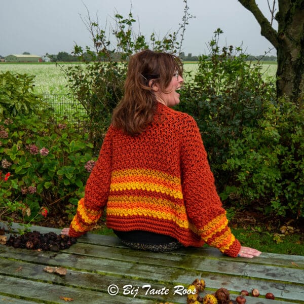 Haakpakket Korte Milly Rose Vest gestreept - Afbeelding 4