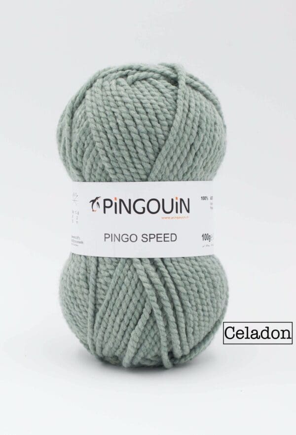 Pingouin Pingo Speed - Celadon